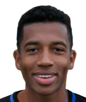 ˹