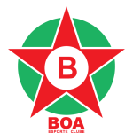 ͼ